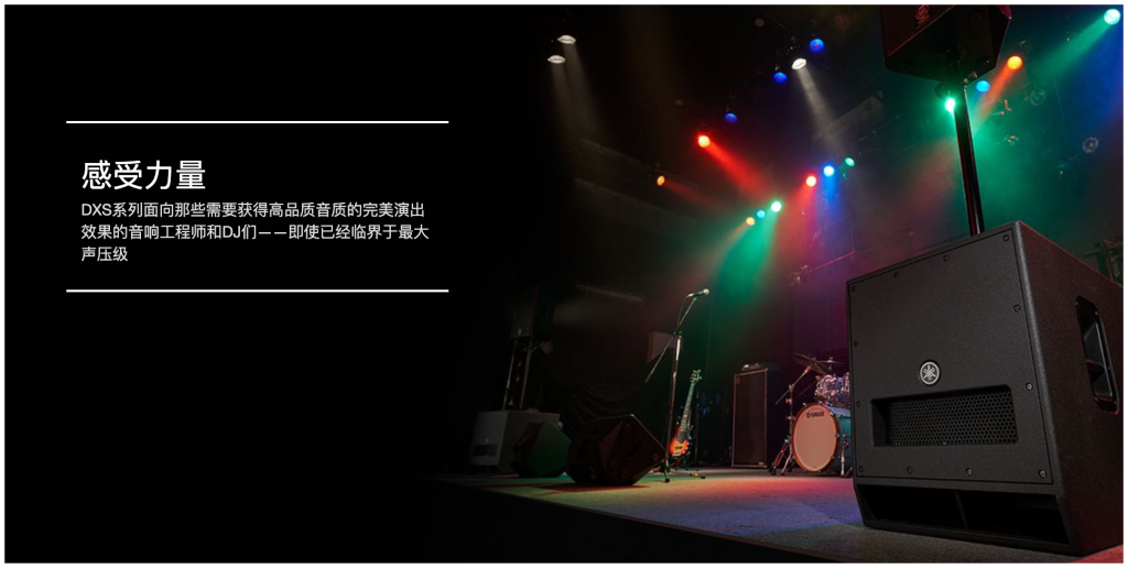 DXS系列插圖5 DXS系列插圖5