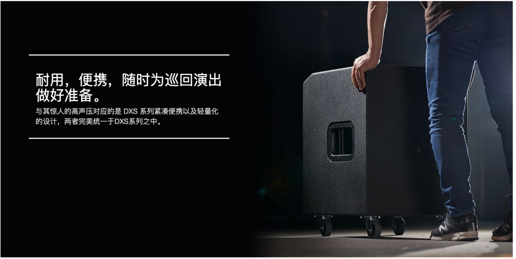 DXS系列插圖7 DXS系列插圖7