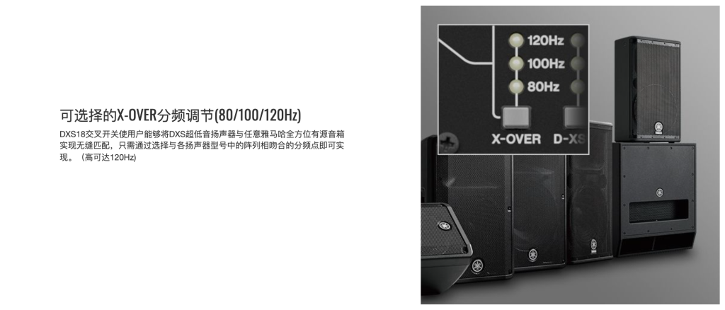 DXS系列插圖12 DXS系列插圖12